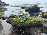Jungle Green Test Pilot (Free Shipping)