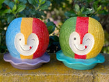 Shavy Bob (Shipping Included)