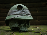 Expedition’s End in Jungle Green Pre-Order (Shipping Included)